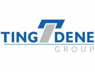 Tingdene Group Logo